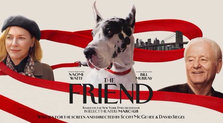 The Friend (Scott McGehee & David Siegel,&nbsp;2024)